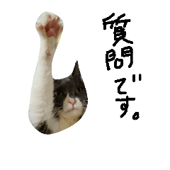 [LINEスタンプ] はちわれネコ