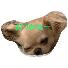 [LINEスタンプ] 福夢さん1