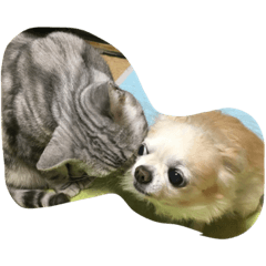 [LINEスタンプ] mazika55