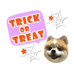 [LINEスタンプ] ハロウィン2017