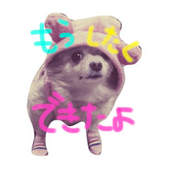 [LINEスタンプ] ピピさんスタンプ