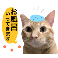 [LINEスタンプ] とろさぁもんすたんぷ第二弾
