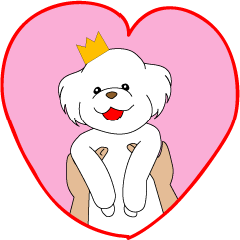 [LINEスタンプ] つぶらな瞳のトイプードル王子
