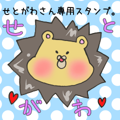 [LINEスタンプ] せとがわさん専用スタンプの画像（メイン）