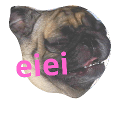 [LINEスタンプ] My Pug