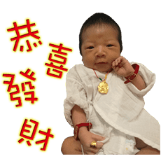 [LINEスタンプ] Chick-N-N