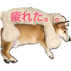 [LINEスタンプ] ぐぅさんスタンプ