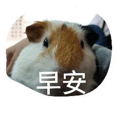 [LINEスタンプ] BaBu so cute.