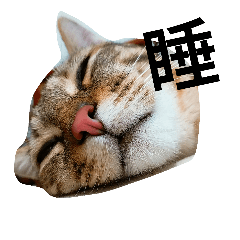 [LINEスタンプ] Chat Tabby