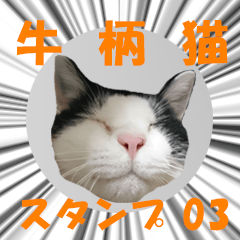 [LINEスタンプ] 牛柄猫スタンプ03