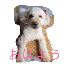 [LINEスタンプ] ハッピー ララ