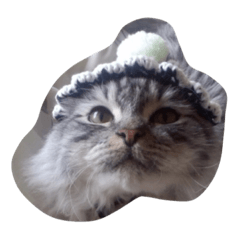 [LINEスタンプ] hijihijihijihijiki