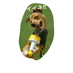 [LINEスタンプ] zasyukennokenta