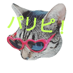 [LINEスタンプ] ここチャンの日常 