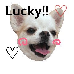 [LINEスタンプ] ラッキースタンプ♪