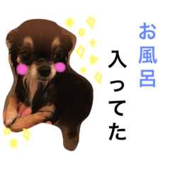 [LINEスタンプ] チュチュちゃん