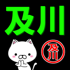 [LINEスタンプ] 超★及川(おいかわ・おおいかわ・おがわ)の画像（メイン）