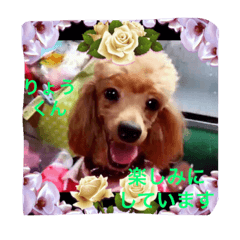 [LINEスタンプ] Friends of Max