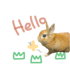 [LINEスタンプ] うさぎのラン
