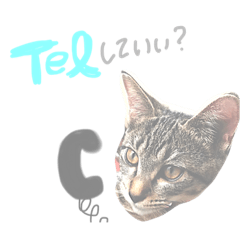 [LINEスタンプ] aduki2