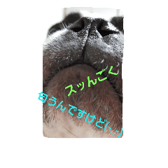 [LINEスタンプ] tonokun3