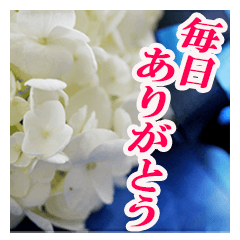 [LINEスタンプ] 花のある記念日3