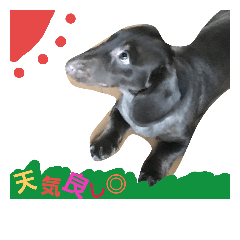[LINEスタンプ] まめです♡