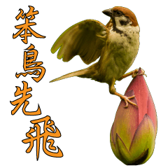 [LINEスタンプ] Bird language part 2