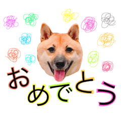 [LINEスタンプ] 虎太郎✩関西弁