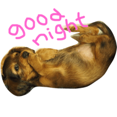 [LINEスタンプ] munyanko9