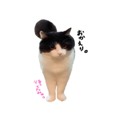 [LINEスタンプ] ふたまる と くく