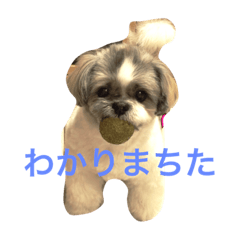 [LINEスタンプ] パフたん