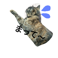 [LINEスタンプ] コネ猫