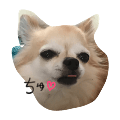 [LINEスタンプ] ここのきもち 2 