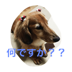 [LINEスタンプ] りくさんの日常 