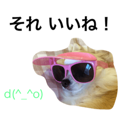 [LINEスタンプ] PETS！