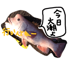[LINEスタンプ] 釣りへ行こう