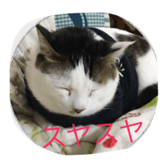 [LINEスタンプ] miisukesuke2