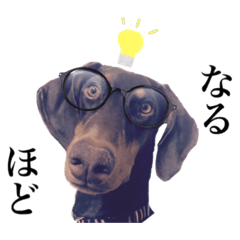 [LINEスタンプ] 垂れ耳ドーベルマン~bell~