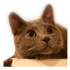 [LINEスタンプ] シャルトリューのトロワさん