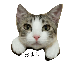 [LINEスタンプ] 哀愁にぃさん