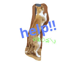 [LINEスタンプ] my cute nyanko's