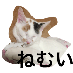 [LINEスタンプ] ねこさん07
