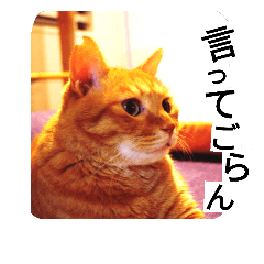 [LINEスタンプ] もんとら2