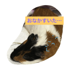 [LINEスタンプ] もるさん日記②
