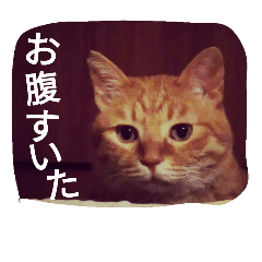 [LINEスタンプ] もんじゃとらきち