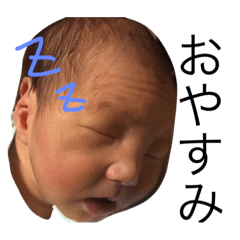 [LINEスタンプ] しいたけの世界 日常編