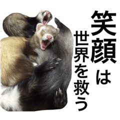 [LINEスタンプ] I LOVE FERRET 6