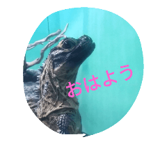 [LINEスタンプ] Tier-可愛い生き物たち- 