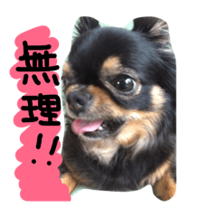 [LINEスタンプ] 自由犬。2